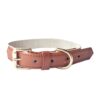 DILO linen dog collar featured img