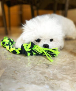 DILO-Pet-Fluorescent-Green-Braided-Dog-Rope-Toy-