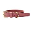 DILO-Pet-Vegan-Leather-Dog-Collar-Pink