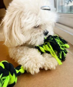 DILO_Pet-Fluorescent-Green-Braided-Dog-Rope-Toy