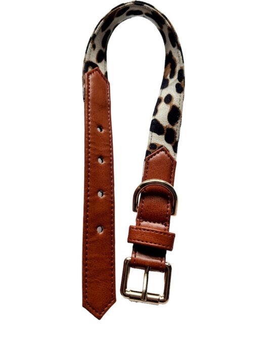 DILO_Pet-Leopard-Print-Dog-Collar
