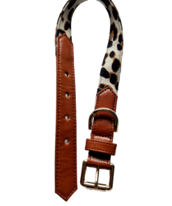 DILO Leopard print Dog Collar 2