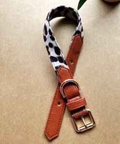 DILO Leopard print Dog Collar 3