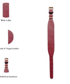 DILO Vegan leather wide collar- pink infographics