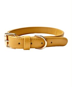 DILO Vegan Leather Dog Collar - Mustard Featured img
