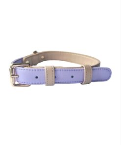 DILO Fable two Tone Dog collar- featured img