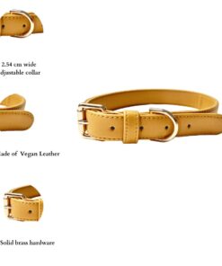DILO vegan leather Dog Collar_Mustard_Infographics