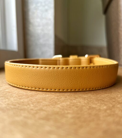 DILO Vegan Leather Dog Collar - Mustard 1