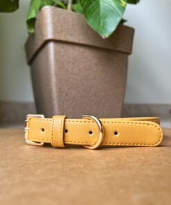 DILO Vegan Leather Dog Collar - Mustard 2