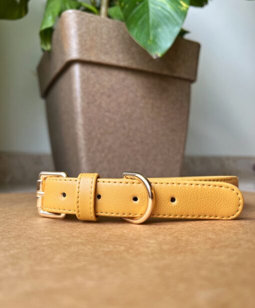 DILO Vegan Leather Dog Collar - Mustard 2