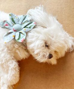 DILO-Pet-Floral-Pet-Bow-Tie