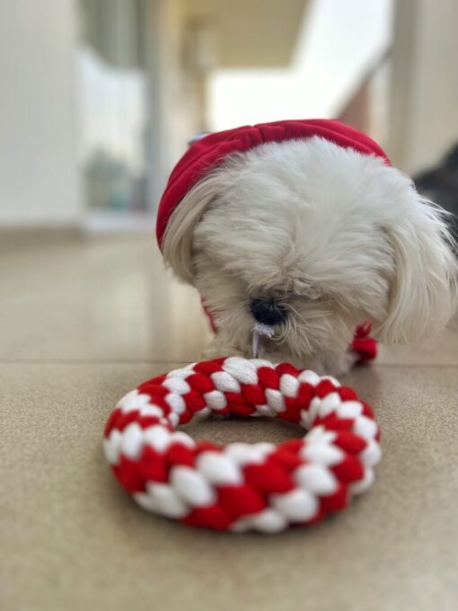 DILO-Pet-Christmas-Candy-Rope-Toy-Pet-Toy