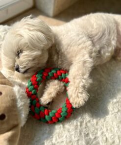 DILO-Pet-Mistletoe-Christmas-Rope-Toys-For-Pets