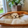 DILO Tangerine Snuggle pet bed- Infographics