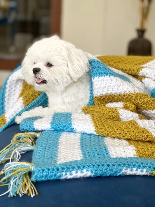 DILO Trinity stitch crochet pet blanket- img 2