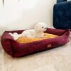 DILO Marble Pet Bed- Featured img