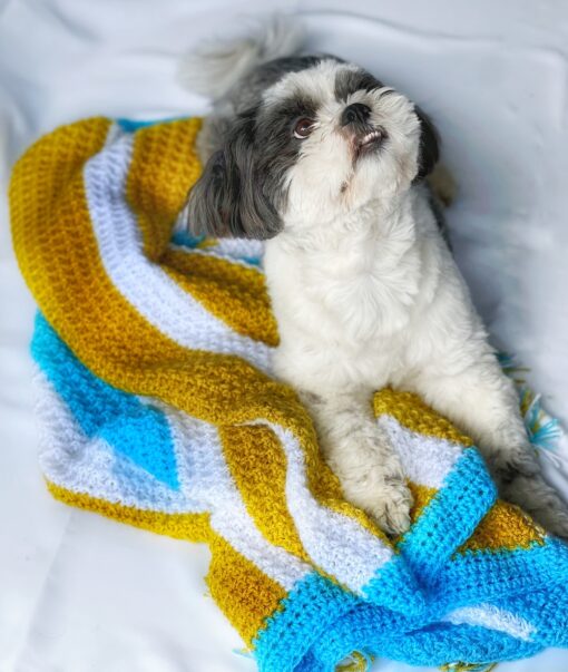 DILO Trinity stitch crochet pet blanket- featured img