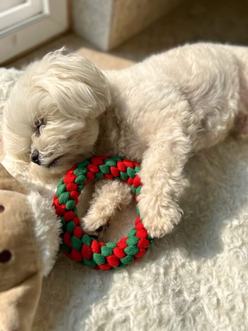 DILO Mistletoe Christmas rope toy for pets- 3