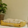 DILO Sunshine dog bed- featured img