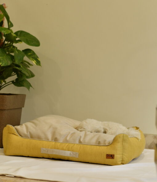 DILO Sunshine dog bed- featured img