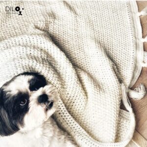 Winter-Blanket-for-Dog-by-DILO-Pet